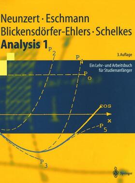 Neunzert / Schelkes / Eschmann |  Analysis 1 | Buch |  Sack Fachmedien