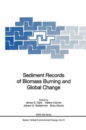 Clark / Stocks / Cachier |  Sediment Records of Biomass Burning and Global Change | Buch |  Sack Fachmedien