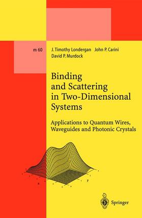 Londergan / Murdock / Carini |  Binding and Scattering in Two-Dimensional Systems | Buch |  Sack Fachmedien