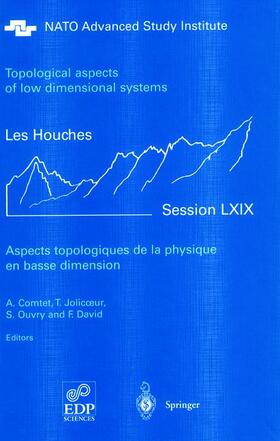 Comtet / David / Jolicoeur |  Aspects topologiques de la physique en basse dimension. Topological aspects of low dimensional systems | Buch |  Sack Fachmedien