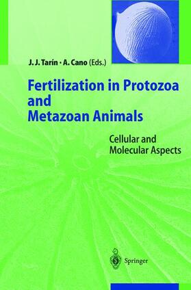 Cano / Tarin |  Fertilization in Protozoa and Metazoan Animals | Buch |  Sack Fachmedien
