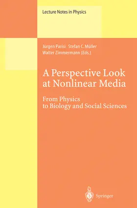 Parisi / Müller / Zimmermann |  A Perspective Look at Nonlinear Media | eBook | Sack Fachmedien