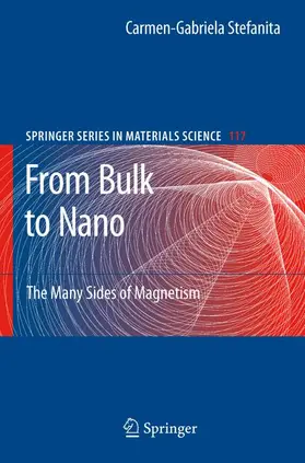 Stefanita |  From Bulk to Nano | Buch |  Sack Fachmedien