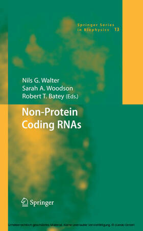 Walter / Woodson / Batey |  Non-Protein Coding RNAs | eBook | Sack Fachmedien