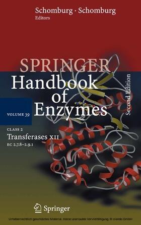 Schomburg / Chang |  Class 2 Transferases XII | eBook | Sack Fachmedien