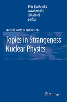 Bydzovsky / Gal / Mares |  Topics in Strangeness Nuclear Physics | eBook | Sack Fachmedien