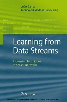 Gama / Gaber | Learning from Data Streams | E-Book | sack.de