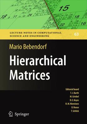 Bebendorf |  Hierarchical Matrices | Buch |  Sack Fachmedien