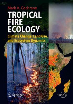 Cochrane |  Tropical Fire Ecology | eBook | Sack Fachmedien