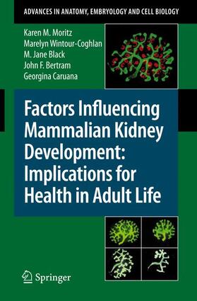 Moritz / Wintour-Coghlan / Caruana |  Factors Influencing Mammalian Kidney Development: Implications for Health in Adult Life | Buch |  Sack Fachmedien