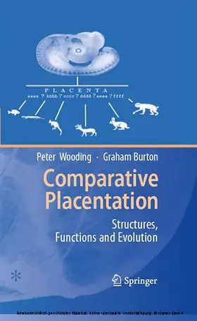 Wooding / Burton |  Comparative Placentation | eBook | Sack Fachmedien