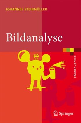 Steinmüller |  Bildanalyse | Buch |  Sack Fachmedien