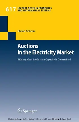 Schöne |  Auctions in the Electricity Market | eBook | Sack Fachmedien