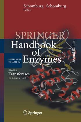 Schomburg / Chang |  Class 2 Transferases | eBook | Sack Fachmedien