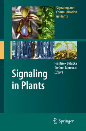 Mancuso / Baluška | Signaling in Plants | Buch | 978-3-540-89227-4 | sack.de