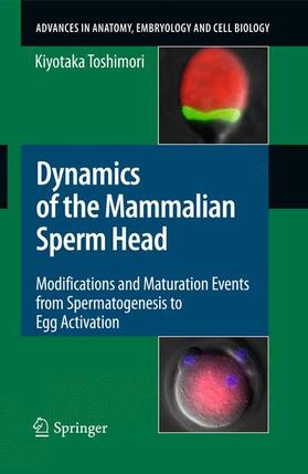 Toshimori |  Dynamics of the Mammalian Sperm Head | Buch |  Sack Fachmedien