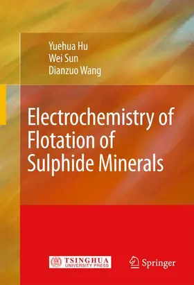 Hu / Sun / Wang |  Electrochemistry of Flotation of Sulphide Minerals | Buch |  Sack Fachmedien