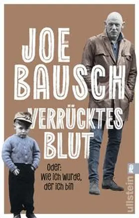 Bausch |  Verrücktes Blut | Buch |  Sack Fachmedien