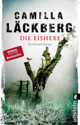 Läckberg |  Die Eishexe | Buch |  Sack Fachmedien
