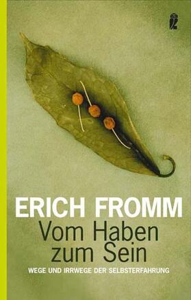 Fromm / Funk |  Vom Haben zum Sein | Buch |  Sack Fachmedien