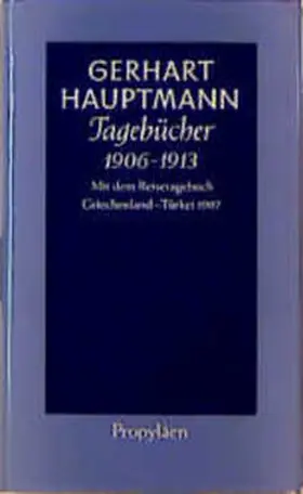 Hauptmann / Sprengel |  Tagebücher 1906 bis 1913 | Buch |  Sack Fachmedien