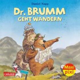  Maxi-Pixi Nr. 158: VE 5 Dr. Brumm geht wandern | Buch |  Sack Fachmedien