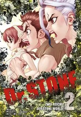 BOICHI / Inagaki |  Dr. Stone 2 | Buch |  Sack Fachmedien