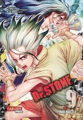 BOICHI / Inagaki |  Dr. Stone 9 | Buch |  Sack Fachmedien