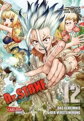 BOICHI / Inagaki |  Dr. Stone 12 | Buch |  Sack Fachmedien