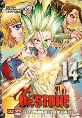 BOICHI / Inagaki |  Dr. Stone 14 | Buch |  Sack Fachmedien