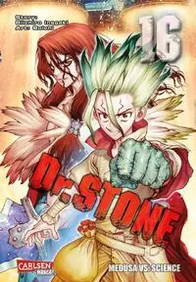 BOICHI / Inagaki |  Dr. Stone 16 | Buch |  Sack Fachmedien