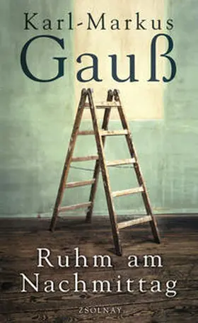 Gauß |  Ruhm am Nachmittag | Buch |  Sack Fachmedien