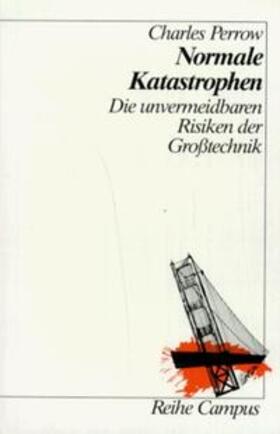 Perrow |  Normale Katastrophen | Buch |  Sack Fachmedien