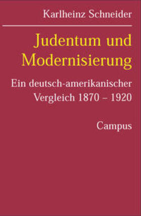 Schneider |  Judentum und Modernisierung | Buch |  Sack Fachmedien