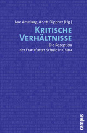 Amelung / Dippner |  Kritische Verhältnisse | Buch |  Sack Fachmedien