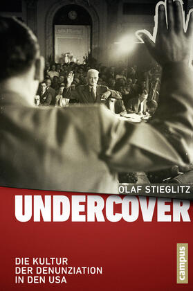 Stieglitz | Undercover | Buch | 978-3-593-39845-7 | sack.de