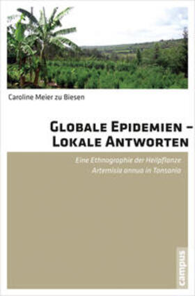 Meier zu Biesen |  Globale Epidemien - Lokale Antworten | Buch |  Sack Fachmedien