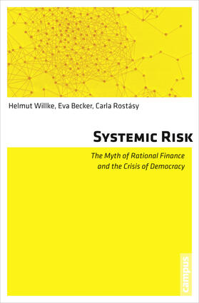 Willke / Becker / Rostásy | Systemic Risk | Buch | 978-3-593-39988-1 | sack.de