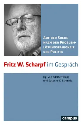 Hepp / Schmidt |  Auf der Suche nach der Problemlösungsfähigkeit der Politik | eBook | Sack Fachmedien