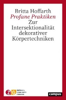 Hoffarth |  Profane Praktiken | eBook | Sack Fachmedien