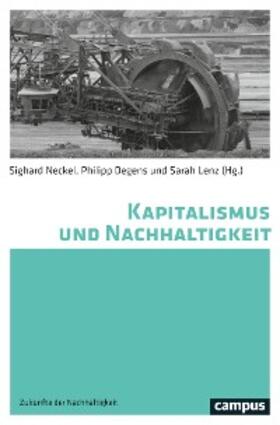 Neckel / Degens / Lenz | Kapitalismus und Nachhaltigkeit | E-Book | sack.de