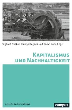 Neckel / Degens / Lenz |  Kapitalismus und Nachhaltigkeit | eBook |  Sack Fachmedien