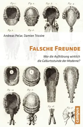 Pecar / Tricoire |  Falsche Freunde | Buch |  Sack Fachmedien