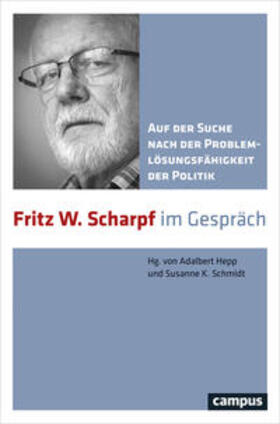 Hepp / Schmidt |  Auf der Suche nach der Problemlösungsfähigkeit der Politik | Buch |  Sack Fachmedien