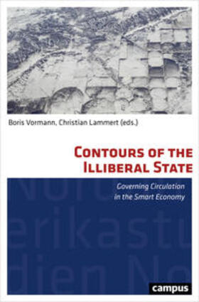 Vormann / Lammert / Braneck |  Contours of the Illiberal State | Buch |  Sack Fachmedien