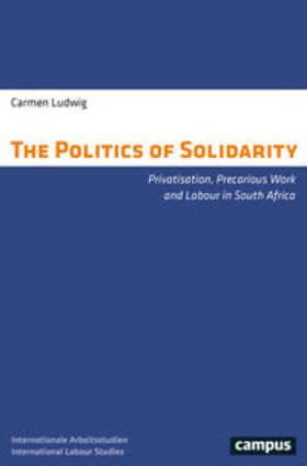 Ludwig |  The Politics of Solidarity | Buch |  Sack Fachmedien