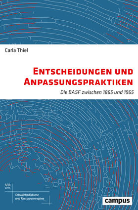 Thiel |  Entscheidungen und Anpassungspraktiken | Buch |  Sack Fachmedien