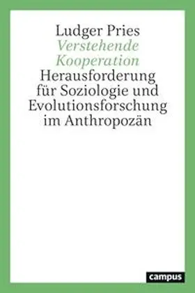 Pries |  Verstehende Kooperation | Buch |  Sack Fachmedien