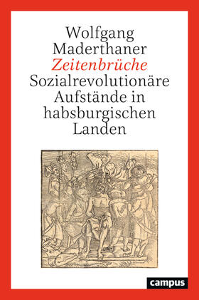 Maderthaner |  Zeitenbrüche | Buch |  Sack Fachmedien