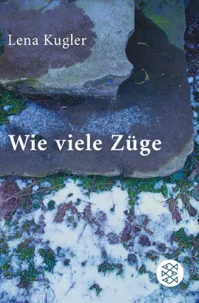 Kugler |  Wie viele Züge | Buch |  Sack Fachmedien